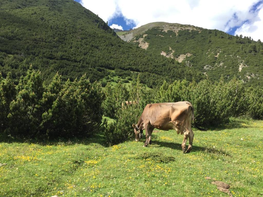 Appartamento Paola Livigno Esterno foto