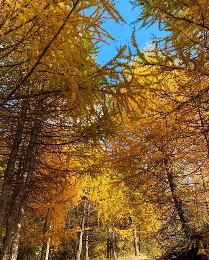 Appartamento Paola Livigno Esterno foto
